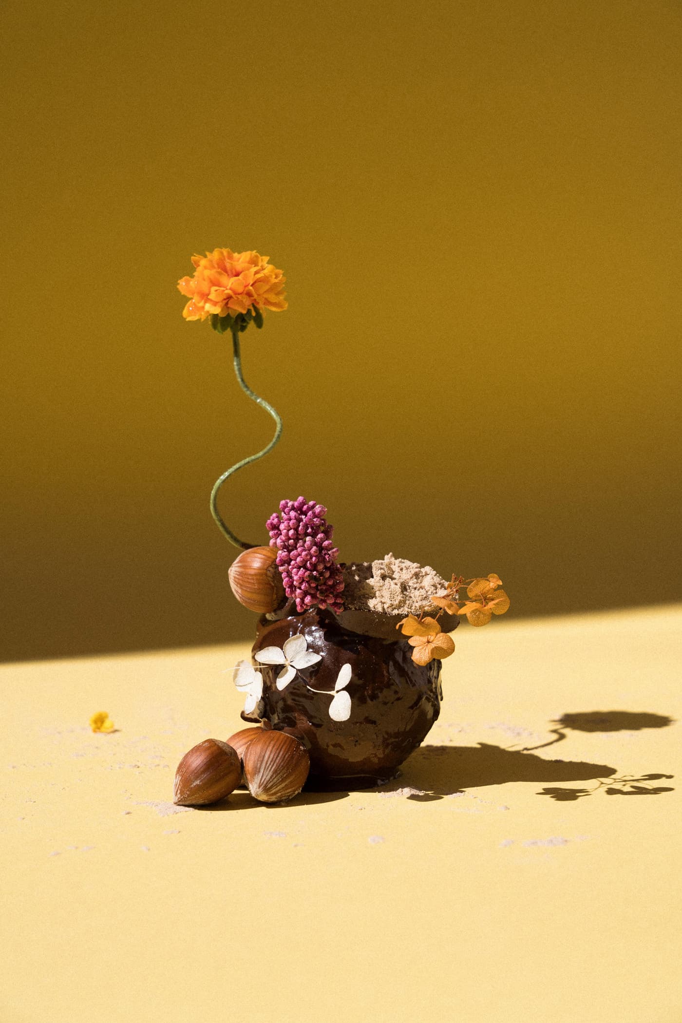 Still life with chocolate sphere, hazelnuts, dried flowers and botanicals on warm yellow background – representing the chocolate flavour ingredients.