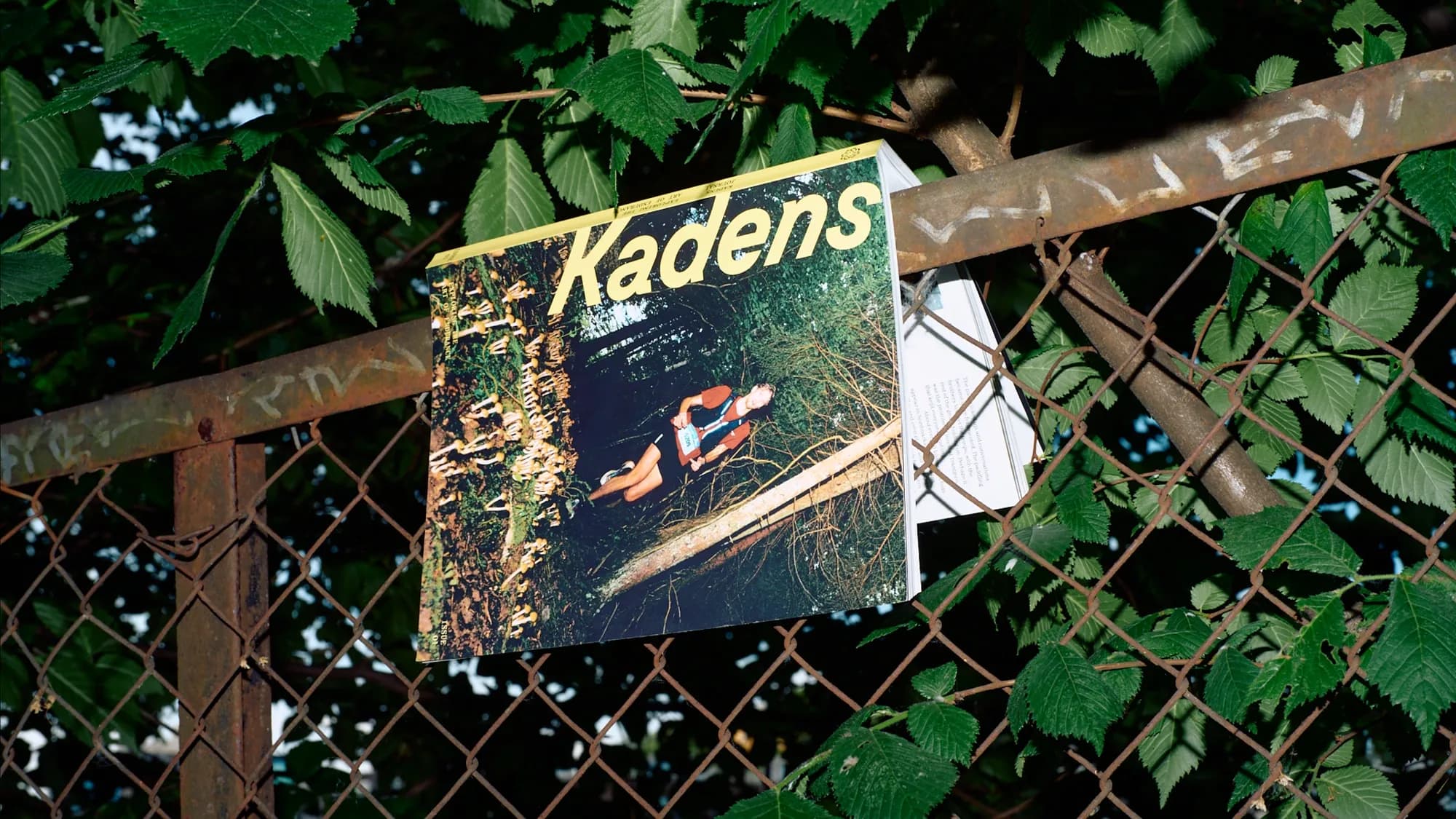 Kadens Journal wedged into a rusty chain-link fence framed by green foliage; the yellow-and-forest cover shows a trail runner descending past a cluster of wild mushrooms.