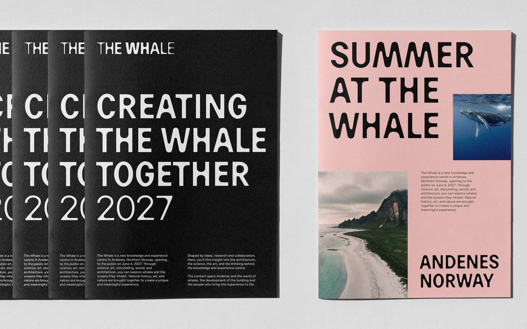 Two The Whale publications: black booklet "Creating the Whale Together 2027" fanned to show multiple copies; pink brochure "Summer at the Whale" featuring a whale photo and Andenes landscape.