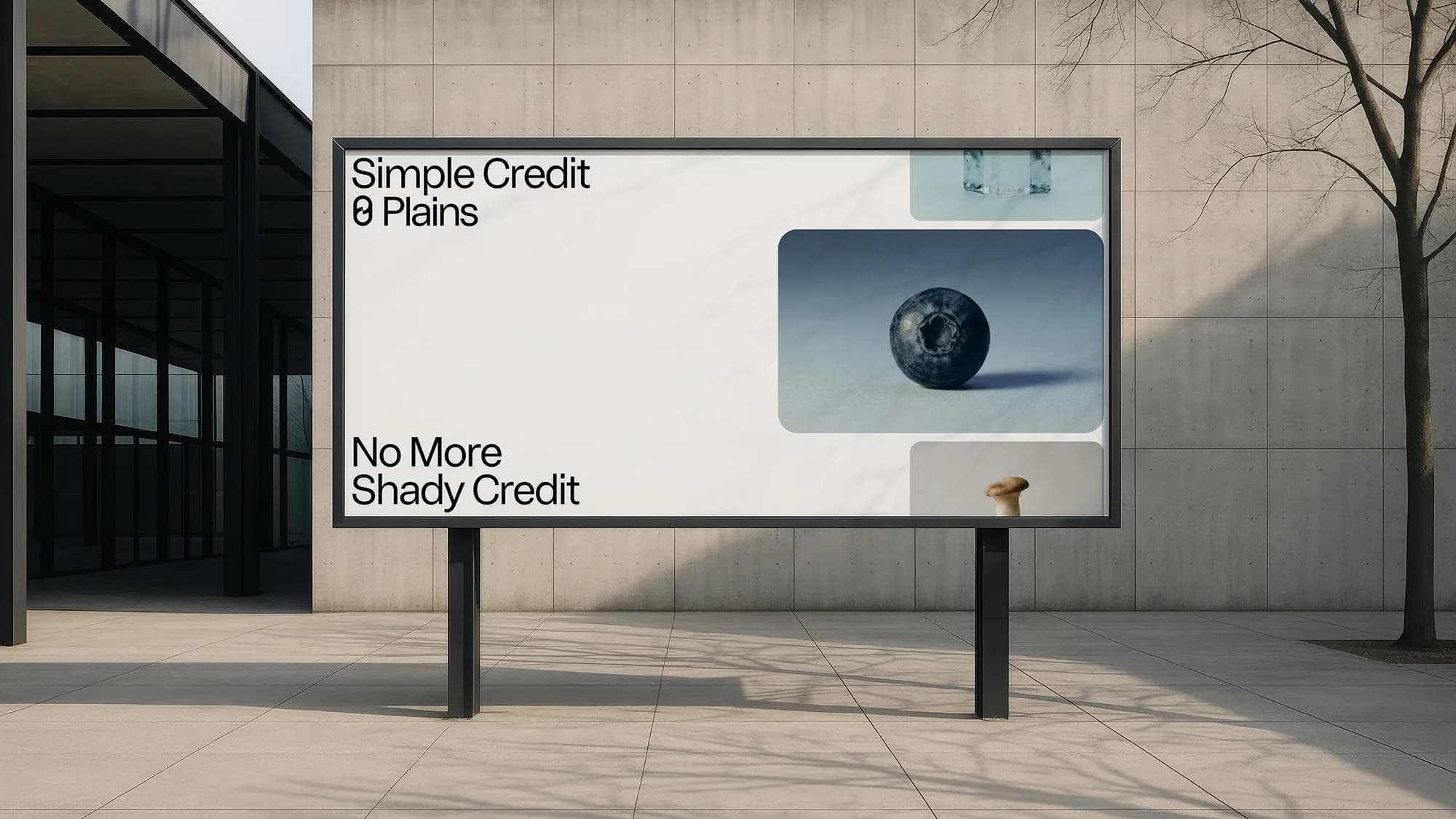 Plains billboard in front of a concrete wall: white panel with the copy "Simple Credit, 0 Plains" and "No More Shady Credit", next to a still life of a dark blueberry on a blue-grey background. Type is set in one size and weight.